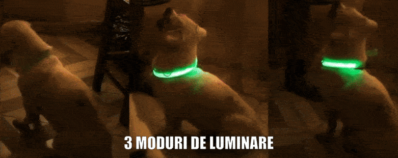 Zgarda LED Strălucitoare pentru Câini