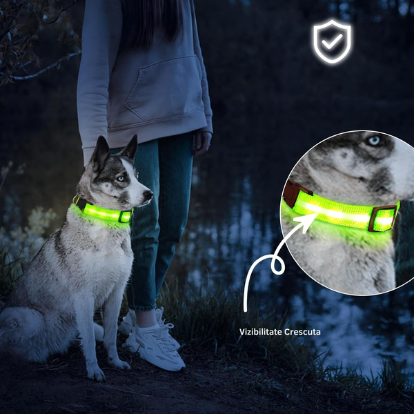 Zgarda LED Strălucitoare pentru Câini